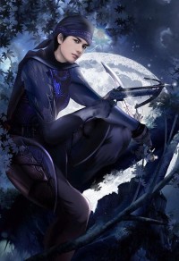 风户戏情（星风月雪之二）