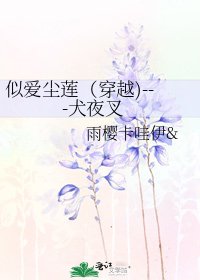 似爱尘莲（穿越)---犬夜叉